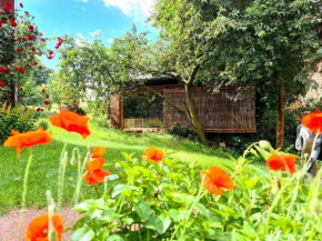 Remise Comfortable holiday residence